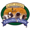 East Coast Llewellin Setters logo