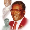 Uncle James Brown Memorial Portrait