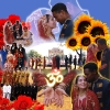 The Fairy Tale Wedding