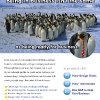 BGP Graphic Design Services Ad